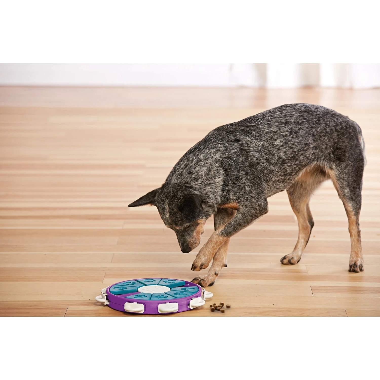 Nina Ottosson By Outward Hound Twister Puzzle Game Dog Toy 7 Nina Ottosson By Outward Hound Twister Puzzle Game Dog Toy - Image 7