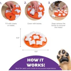 Nina Ottosson By Outward Hound Puppy Smart Dog Toy -PetSafe Kong Shop 148603 PT2. AC SS1800 V1694439673