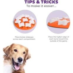 Nina Ottosson By Outward Hound Puppy Smart Dog Toy -PetSafe Kong Shop 148603 PT3. AC SS1800 V1694287423