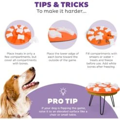 Nina Ottosson By Outward Hound Puppy Smart Dog Toy -PetSafe Kong Shop 148603 PT4. AC SS1800 V1694286106