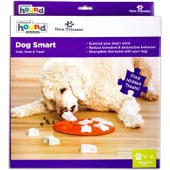 Nina Ottosson By Outward Hound Puppy Smart Dog Toy -PetSafe Kong Shop 148603 PT7. AC SS1800 V1694285519