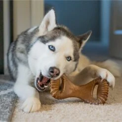 Benebone Peanut Butter Flavor Dental Tough Dog Chew Toy -PetSafe Kong Shop 151533 PT4. AC SS1800 V1612412216