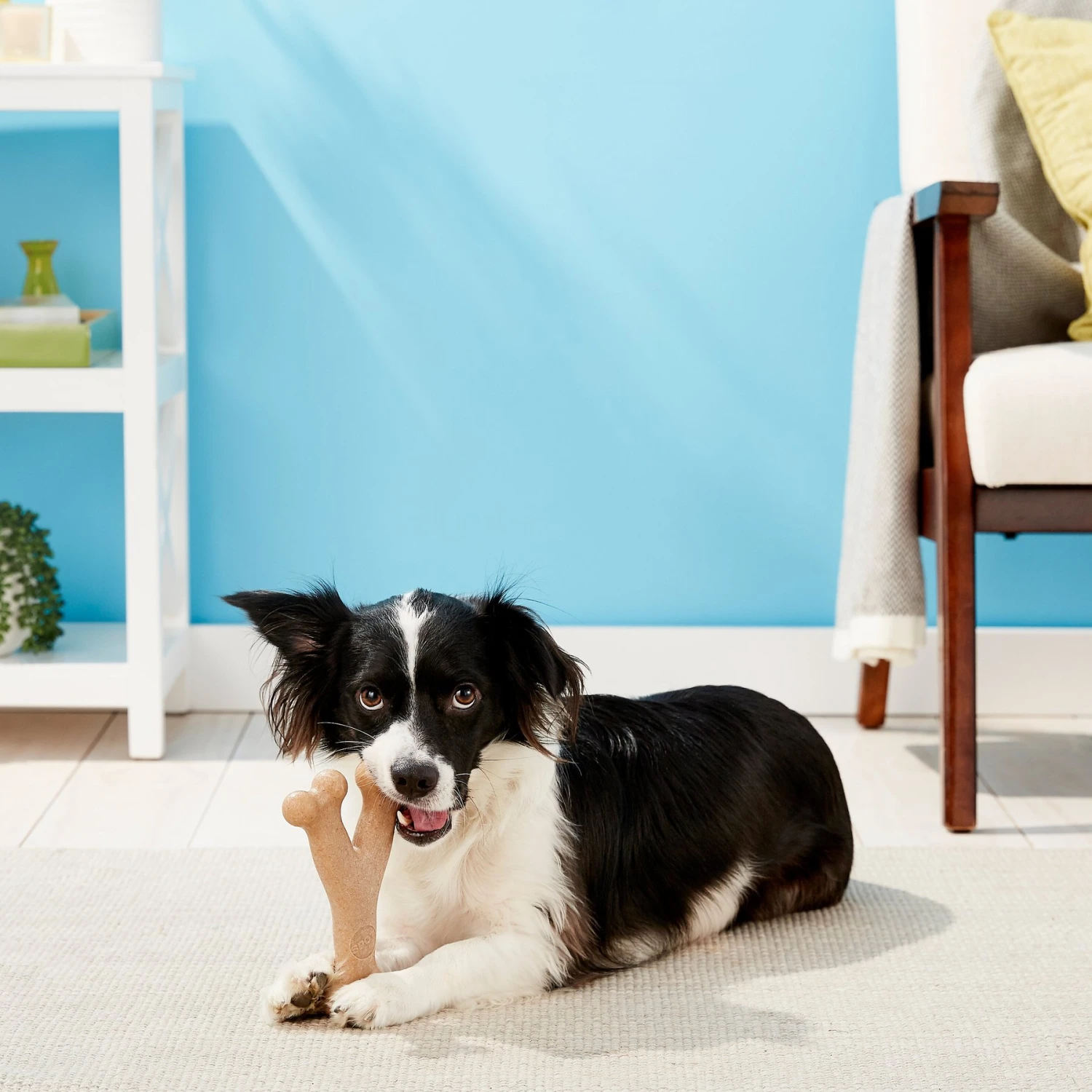 Ethical Pet Bam-bones Wishbone Chicken Tough Dog Chew Toy 2 Ethical Pet Bam-bones Wishbone Chicken Tough Dog Chew Toy - Image 2