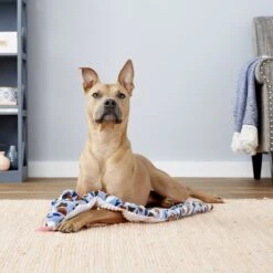 Ethical Pet Slithery Snakes Squeaky Plush Dog Toy, Color Varies -PetSafe Kong Shop 152232 PT2. AC SS1800 V1545257394