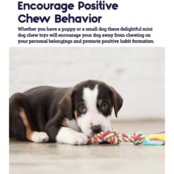 Outward Hound Dental Chew Pack Dog Toy -PetSafe Kong Shop 152318 PT2. AC SS1800 V1636519626