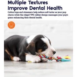 Outward Hound Dental Chew Pack Dog Toy -PetSafe Kong Shop 152318 PT4. AC SS1800 V1636510900