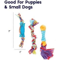 Outward Hound Dental Chew Pack Dog Toy -PetSafe Kong Shop 152318 PT5. AC SS1800 V1636521411