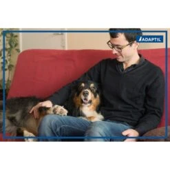 Adaptil Travel Calming Spray For Dogs 11 Adaptil Travel Calming Spray For Dogs -PetSafe Kong Shop 152444 PT5. AC SS1800 V1690574292