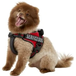 Chai's Choice Service Dog Harness -PetSafe Kong Shop 152522 PT2. AC SS1800 V1569547104