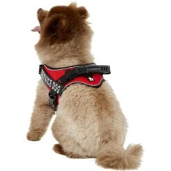 Chai's Choice Service Dog Harness -PetSafe Kong Shop 152522 PT3. AC SS1800 V1569547110