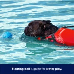 Frisco Foam Rubber Floating Fetch Ball No Squeak Dog Toy -PetSafe Kong Shop 152798 PT3. AC SS1800 V1686579688