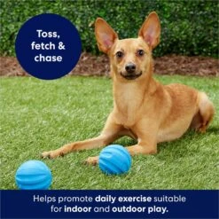 Frisco Foam Rubber Floating Fetch Ball No Squeak Dog Toy -PetSafe Kong Shop 152798 PT4. AC SS1800 V1686579140