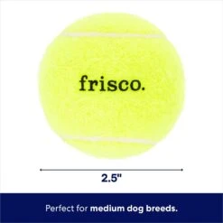 Frisco Fetch Squeaky Tennis Ball Dog Toy -PetSafe Kong Shop 152803 PT1. AC SS1800 V1691776636