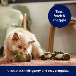 Frisco Volcano Hide & Seek Puzzle Plush Squeaky Dog Toy Refills, 3 Count 8 Frisco Volcano Hide & Seek Puzzle Plush Squeaky Dog Toy Refills, 3 Count -PetSafe Kong Shop 152814 PT5. AC SS1800 V1691776693