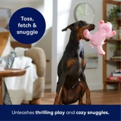 Frisco Corduroy Plush Squeaking Pig Dog Toy -PetSafe Kong Shop 152832 PT4. AC SS1800 V1695671001