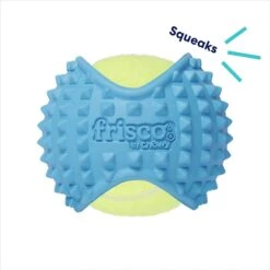 Frisco Fetch Squeaky Tennis Ball With Rubber Sleeve Dog Toy 9 Frisco Fetch Squeaky Tennis Ball With Rubber Sleeve Dog Toy -PetSafe Kong Shop 152844 PT2. AC SS1800 V1691776695