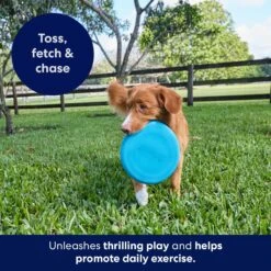 Frisco Fetch Rubber Flyer Dog Toy -PetSafe Kong Shop 152848 PT5. AC SS1800 V1692370079