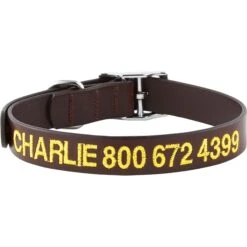 GoTags Leather Personalized Dog Collar