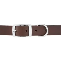 GoTags Leather Personalized Dog Collar -PetSafe Kong Shop 152940 PT4. AC SS1800 V1548442003