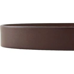 GoTags Leather Personalized Dog Collar -PetSafe Kong Shop 152940 PT5. AC SS1800 V1548441948