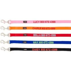 GoTags Nylon Personalized Dog Leash 10 GoTags Nylon Personalized Dog Leash -PetSafe Kong Shop 152975 PT5. AC SS1800 V1541607831