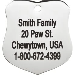 Frisco Stainless Steel Personalized Dog & Cat ID Tag, Badge -PetSafe Kong Shop 153009 PT3. AC SS1800 V1548964788