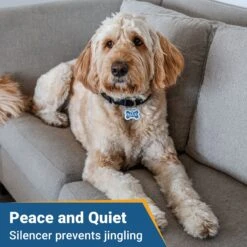 GoTags Anodized Aluminum Personalized Silencer Dog ID Tag -PetSafe Kong Shop 153021 PT3. AC SS1800 V1540560551