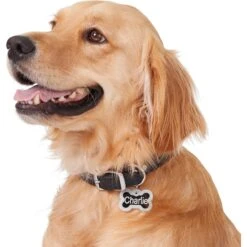 GoTags Anodized Aluminum Personalized Silencer Dog ID Tag -PetSafe Kong Shop 153021 PT5. AC SS1800 V1540560560