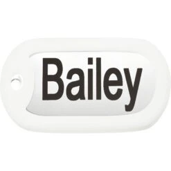 GoTags Stainless Steel Personalized Silencer Dog ID Tag -PetSafe Kong Shop 153034 PT1. AC SS1800 V1540560936