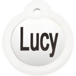 GoTags Stainless Steel Personalized Dog Tag With Silencer, Round, Regular -PetSafe Kong Shop 153036 PT1. AC SS1800 V1540560955