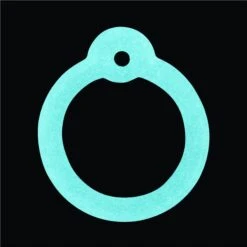 GoTags Stainless Steel Personalized Dog Tag With Silencer, Round, Regular -PetSafe Kong Shop 153036 PT4. AC SS1800 V1540831046