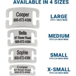 Frisco Stainless Steel Slide-On Personalized Dog & Cat Tag, Open Design -PetSafe Kong Shop 153050 PT3. AC SS1800 V1644013293