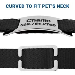 Frisco Stainless Steel Slide-On Personalized Dog & Cat Tag, Open Design -PetSafe Kong Shop 153050 PT4. AC SS1800 V1644016599