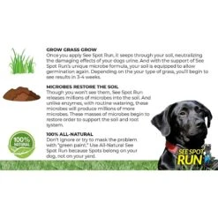 See Spot Run Dog Urine Grass Saver -PetSafe Kong Shop 153124 PT4. AC SS1800 V1546018626