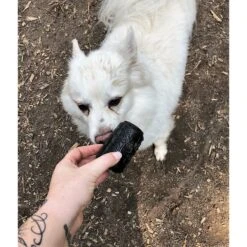 SodaPup Magnum Can Treat Dispensing Tough Dog Chew Toy -PetSafe Kong Shop 153136 PT8. AC SS1800 V1541010311