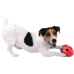 Nerf Dog Bash Crunch Football Dog Toy -PetSafe Kong Shop 154011 PT3. AC SS1800 V1539696423