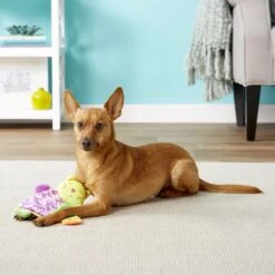 Ethical Pet Lil Spots Squeaky Plush Blanket Puppy Toy -PetSafe Kong Shop 154203 PT2. AC SS1800 V1554127514