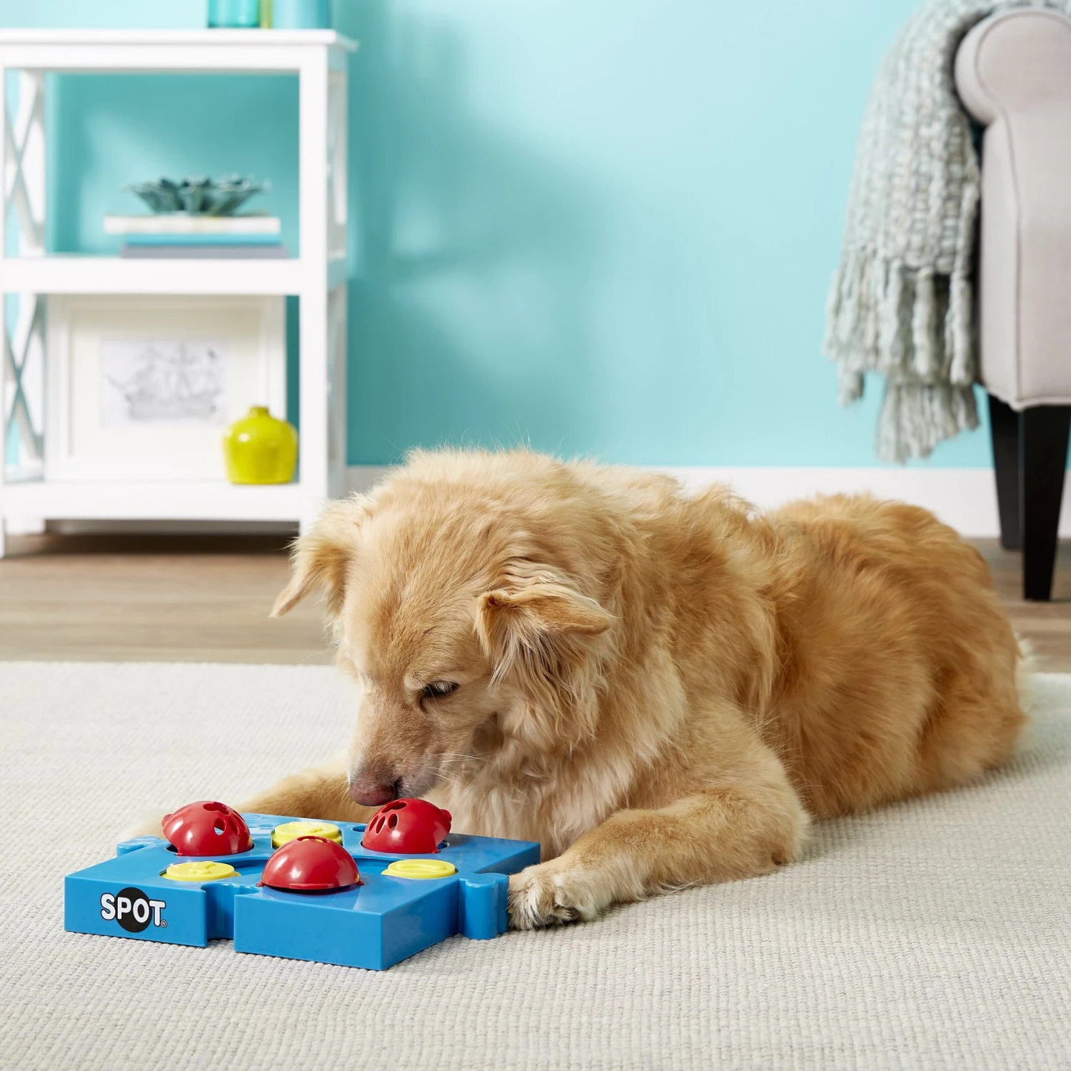 Ethical Pet Seek-A-Treat Flip N Slide Puzzle Dog Toy 2 Ethical Pet Seek-A-Treat Flip N Slide Puzzle Dog Toy - Image 2