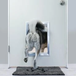 BarksBar Plastic Dog Door -PetSafe Kong Shop 154357 PT2. AC SS1800 V1628667681