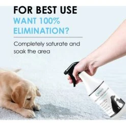 NonScents Pet Odor & Stain Remover Spray -PetSafe Kong Shop 154802 PT4. AC SS1800 V1552074118