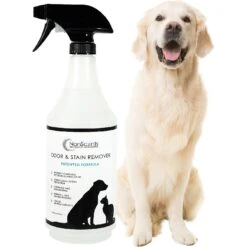 NonScents Pet Odor & Stain Remover Spray -PetSafe Kong Shop 154802 PT5. AC SS1800 V1579617488