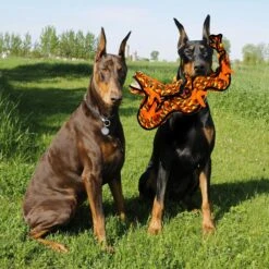 Tuffy's Dragon Plush Dog Toy 10 Tuffy's Dragon Plush Dog Toy -PetSafe Kong Shop 155135 PT3. AC SS1800 V1589570467