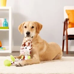 Charming Pet Thunda Tugga Leggy Cow Squeaky Plush Dog Toy -PetSafe Kong Shop 155141 PT3. AC SS1800 V1594672278