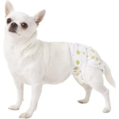 Pet Magasin Washable Female Dog Diapers -PetSafe Kong Shop 155301 PT6. AC SS1800 V1663967087
