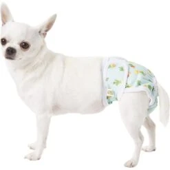 Pet Magasin Washable Female Dog Diapers -PetSafe Kong Shop 155301 PT7. AC SS1800 V1663967023