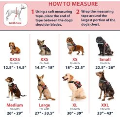 Industrial Puppy Emotional Support Animal ESA Reflective Dog Harness & Leash 12 Industrial Puppy Emotional Support Animal ESA Reflective Dog Harness & Leash -PetSafe Kong Shop 155395 PT3. AC SS1800 V1671724824