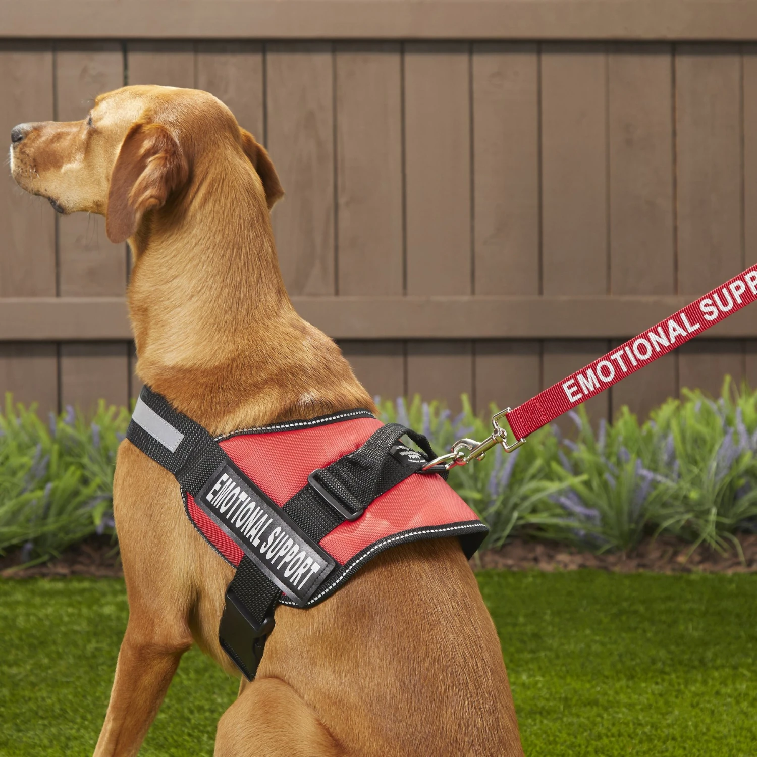 Industrial Puppy Emotional Support Animal ESA Reflective Dog Harness & Leash 6 Industrial Puppy Emotional Support Animal ESA Reflective Dog Harness & Leash - Image 6