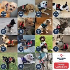 Industrial Puppy Emotional Support Animal ESA Reflective Dog Harness -PetSafe Kong Shop 155403 PT5. AC SS1800 V1670621340