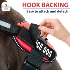 Industrial Puppy Service Dog Patches -PetSafe Kong Shop 155415 PT4. AC SS1800 V1672327406