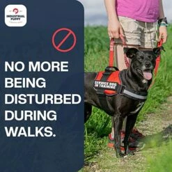 Industrial Puppy Service Dog Patches -PetSafe Kong Shop 155415 PT5. AC SS1800 V1672343625